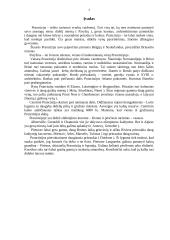 Išsamūs Prancūzijos ir jos miestų aprašymai 3 puslapis