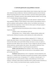 Priėmimų organizavimo kultūra 2 puslapis