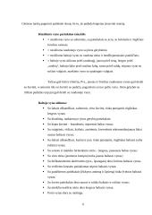 Priėmimų organizavimo kultūra 6 puslapis