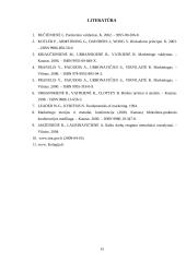 Rinkodaros veiklos planavimas: UAB "Kolegija" 15 puslapis