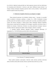 Rinkodaros veiklos planavimas: UAB "Kolegija" 6 puslapis
