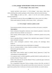 Rinkodaros veiklos planavimas: UAB "Kolegija" 8 puslapis