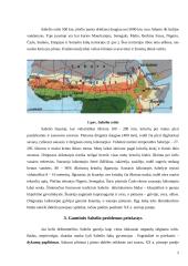 Sahelio sritis 5 puslapis