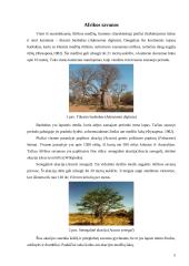 Savanų flora 4 puslapis