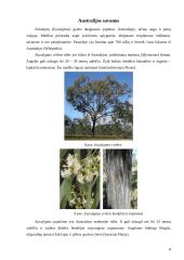 Savanų flora 7 puslapis