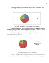 Standartizuoto interviu metodo taikymo rašto darbuose sunkumai 11 puslapis