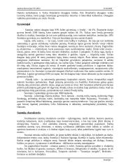 Suomijos ypatybės 19 puslapis