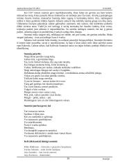 Suomijos ypatybės 20 puslapis