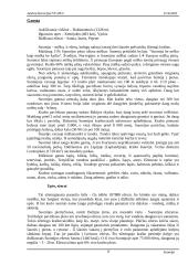 Suomijos ypatybės 6 puslapis