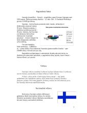 Suomijos geografija ir politika 3 puslapis