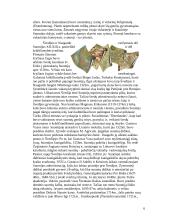 Suomijos geografija ir politika 6 puslapis