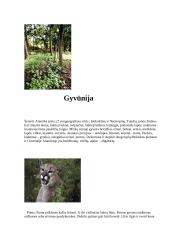 Svarbiausi faktai apie Šiaurės Ameriką 8 puslapis