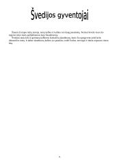 Švedijos pramonė 6 puslapis