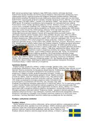 Švedijos valstybės aprašymas 3 puslapis