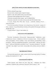 Šveicarija 2 puslapis