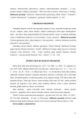 Šveicarija 11 puslapis