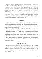 Šveicarija 12 puslapis