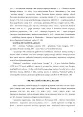 Šveicarija 6 puslapis