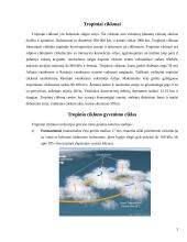 Tropiniai ciklonai 5 puslapis