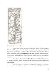 Žemės rutulio kalnų ištyrimo istorija 11 puslapis