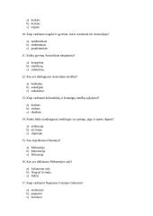 Testas apie Australiją 3 puslapis