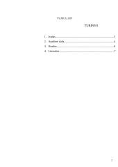 Poetų įvaizdžiai Dantės poemoje "Dieviškoji komedija" 2 puslapis