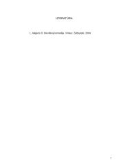 Poetų įvaizdžiai Dantės poemoje "Dieviškoji komedija" 7 puslapis