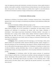 Kas yra demokratija 13 puslapis