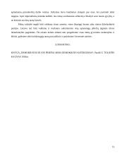 Kas yra demokratija 15 puslapis