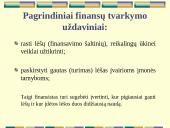 Finansinė įmonės veikla 2 puslapis
