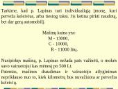 Finansinė įmonės veikla 12 puslapis