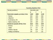Finansinė įmonės veikla 13 puslapis