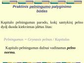 Finansinė įmonės veikla 19 puslapis