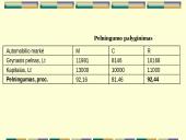 Finansinė įmonės veikla 20 puslapis