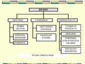 Finansinė įmonės veikla 8 puslapis