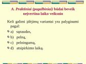 Finansinė įmonės veikla 10 puslapis