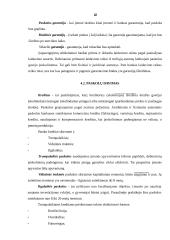 Indėlių priėmimas ir deponavimas 6 puslapis