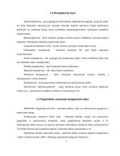 Kompiuterija 3 puslapis