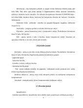 Kompiuterija 4 puslapis