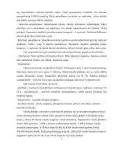 Kompiuterija 5 puslapis