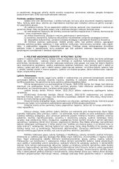 Politologijos pagrindai 11 puslapis