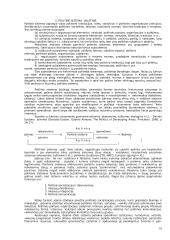 Politologijos pagrindai 16 puslapis