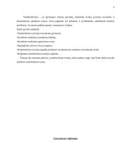 Struktūralizmas 6 puslapis