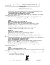 Verslo plano rengimas 2 puslapis