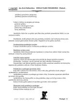 Verslo plano rengimas 11 puslapis