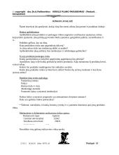 Verslo plano rengimas 13 puslapis