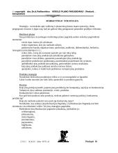 Verslo plano rengimas 16 puslapis