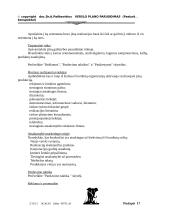 Verslo plano rengimas 17 puslapis