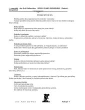 Verslo plano rengimas 4 puslapis