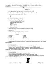 Verslo plano rengimas 5 puslapis